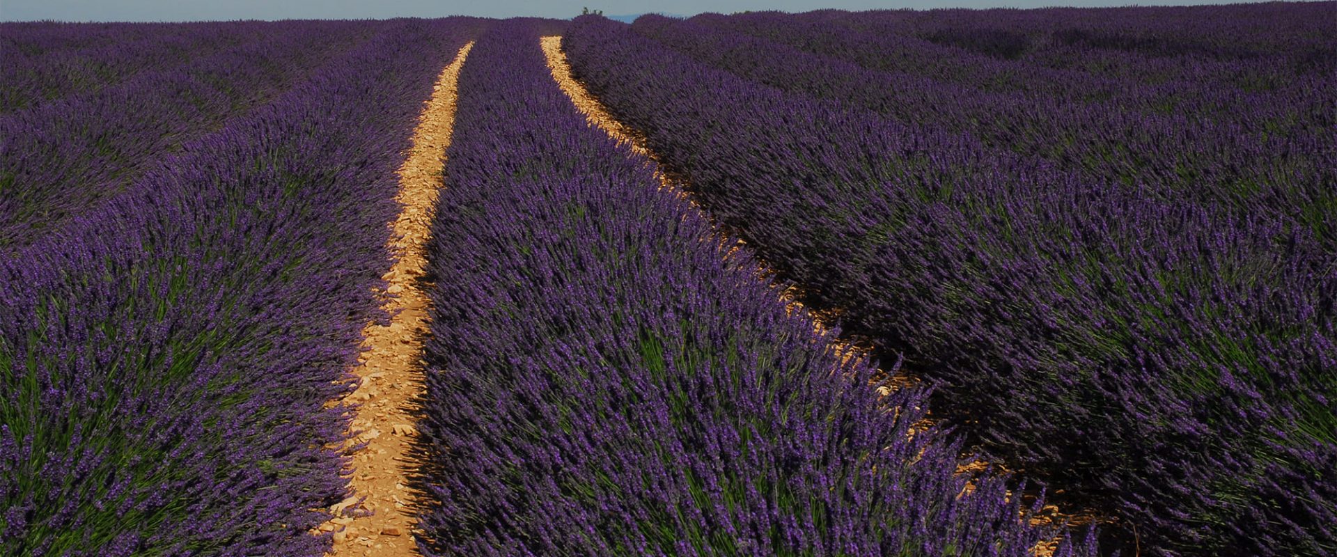 Valensole